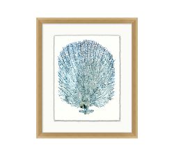 Teal Sea Fan Framed Print
