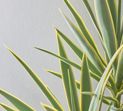 Faux Yucca Tree In Pot