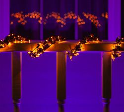 Amber Incandescent String Light Garland W/ Black Wire, 9'