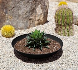 All Weather Eco Hevea Outdoor Bowl Planters