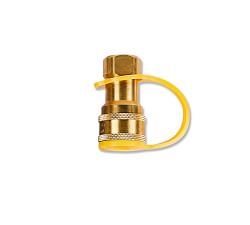 Ashford Natural Gas Conversion Kit