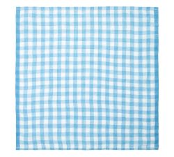 Gingham Block Print Cotton Picnic Napkin - Set of 4
