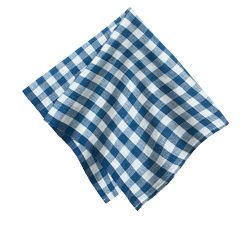 Gingham Block Print Cotton Picnic Napkin - Set of 4