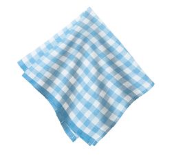 Gingham Block Print Cotton Picnic Napkin - Set of 4