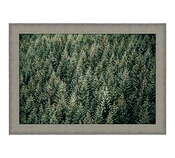 Aerial Evergreen Forest Framed Print