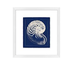 Nautilus Shell Framed Print