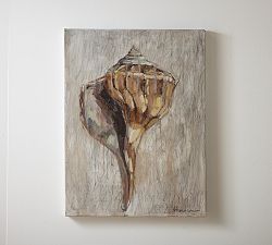 Conch Study by Lauren Herrera