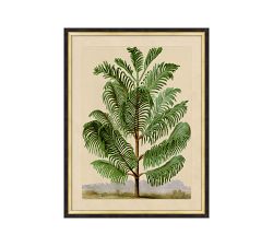 Shrubbery Framed Print