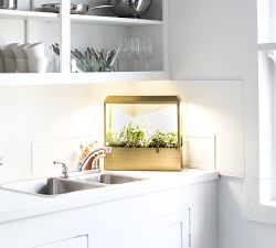 Growhouse, 16.5" X 15.8"