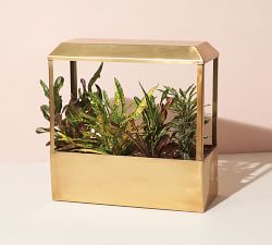 Growhouse, 16.5" X 15.8"