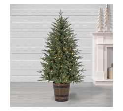 Lit Potted Faux Natural Cut Haywood Fir Tree