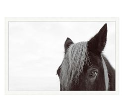 Peeking Horse Framed Print