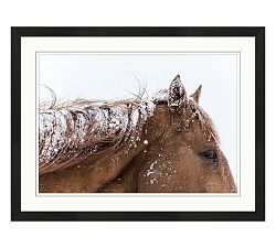 Snowflake Horse Framed Print