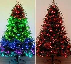 Faux Lit Color-Changing Colorado Blue Spruce Tree