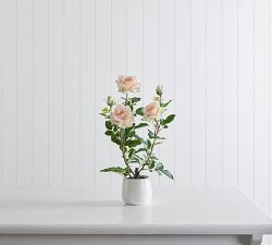 Faux Potted Roses