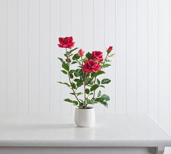Faux Potted Roses