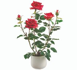 Faux Potted Roses