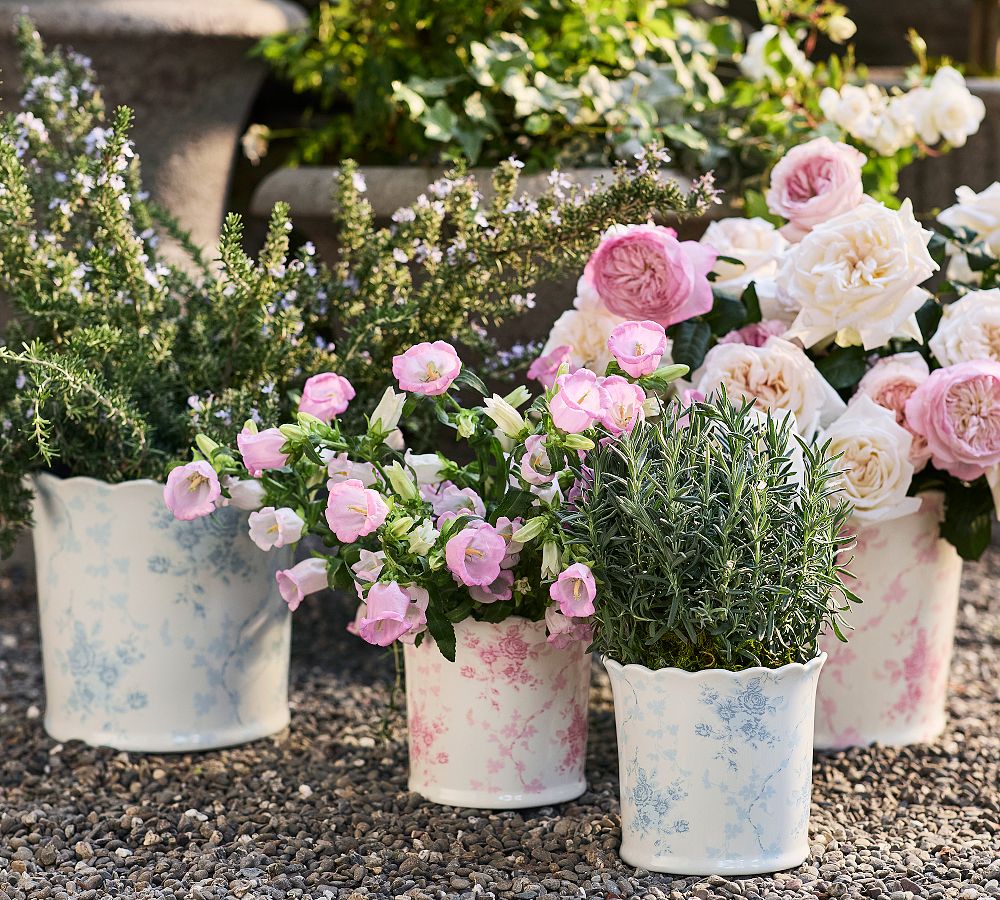 LoveShackFancy Rose Ceramic Cachepot
