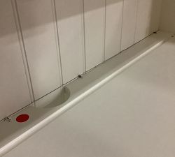 Open Box: Aubrey Modular Storage Cabinet Hutch (36"W x 48"H) - Dutch White