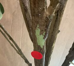 Open Box: Faux Silver Dollar Eucalyptus Tree (7')