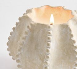 Artisan Studio Shell Candle Collection - Navy Beach