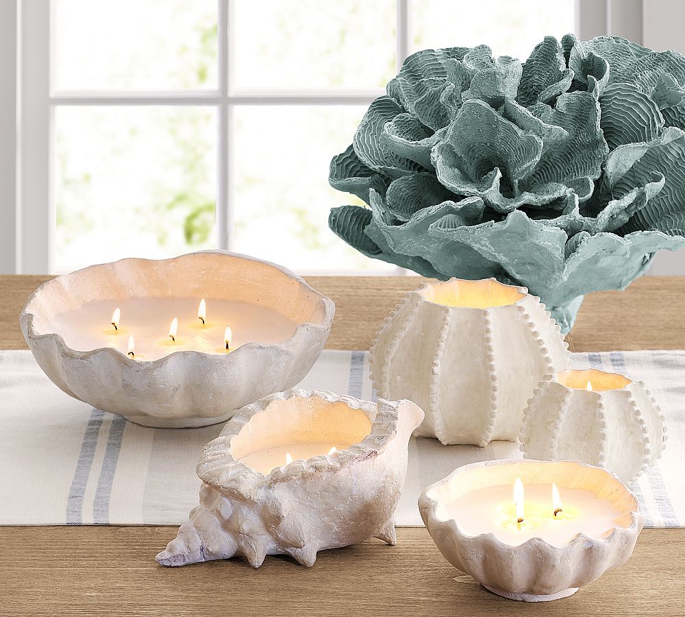 Clam Shell, Navy Beach - Artisan Studio Shell Candle Collection