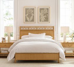 Hints of Nature Framed Print