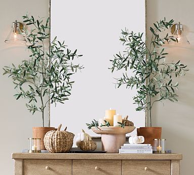 faux weed plant 6' Money Tree FP1413 main image 0