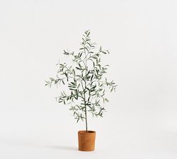 Faux Terracotta Potted Olive Tree