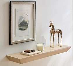 Coastline Birds Framed Print