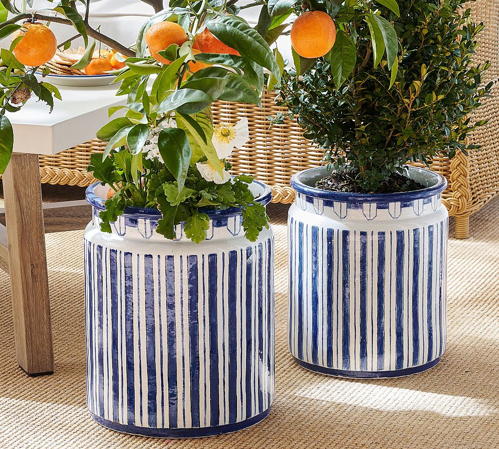 Mark D. Sikes Clementine Cachepots | Pottery Barn
