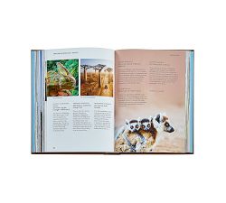 The Family Bucket List Leather-Bound Book