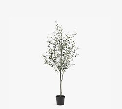 Open Box: Faux Olive Tree, 6'H - Black Plastic Pot