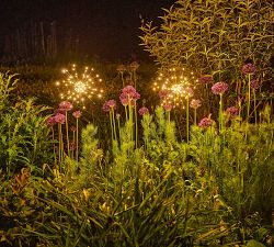 Solar Outdoor Lit Starburst Lawn Stakes