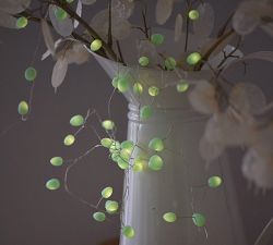 Dew Drop String Lights