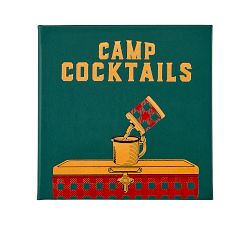 Camp Cocktails: Easy, Fun, And Delicious Drinks for The Great Outdoors (Great Outdoor Cooking)