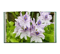 Bunny Williams Life in The Garden Leather-Bound Book