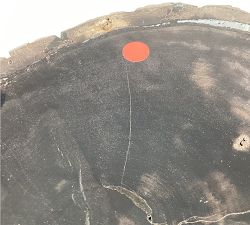 Open Box: Petrified Wooden Sculpture (8"W x 12"H)