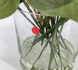 Open Box: Wild Mixed Greens Composed