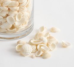 Mini Shell Vase Filler