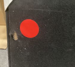 Open Box: Tulip Shell Shadow Box Wall Art (23.75") - Beige