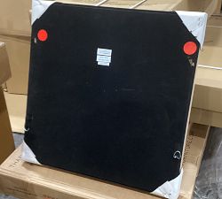 Open Box: Tulip Shell Shadow Box Wall Art (23.75") - Beige