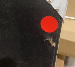 Open Box: Tulip Shell Shadow Box Wall Art (23.75") - Beige