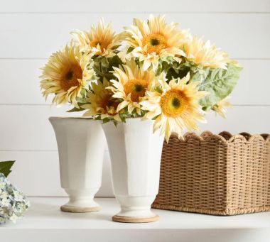 All Botanicals &amp; Trees