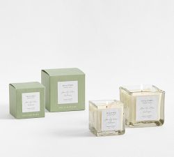 Verte Scent Collection - Fresh Fig
