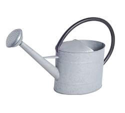 Aged Zinc Watering Cans