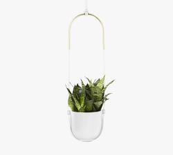 Hanging Wall Planters