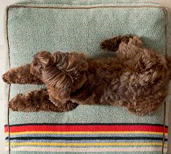 Pendleton® Vintage Camp Pet Bed