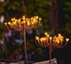 Solar Outdoor Lit Blossom Lawn Stake