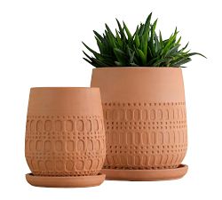 Handcrafted Mojave Planters